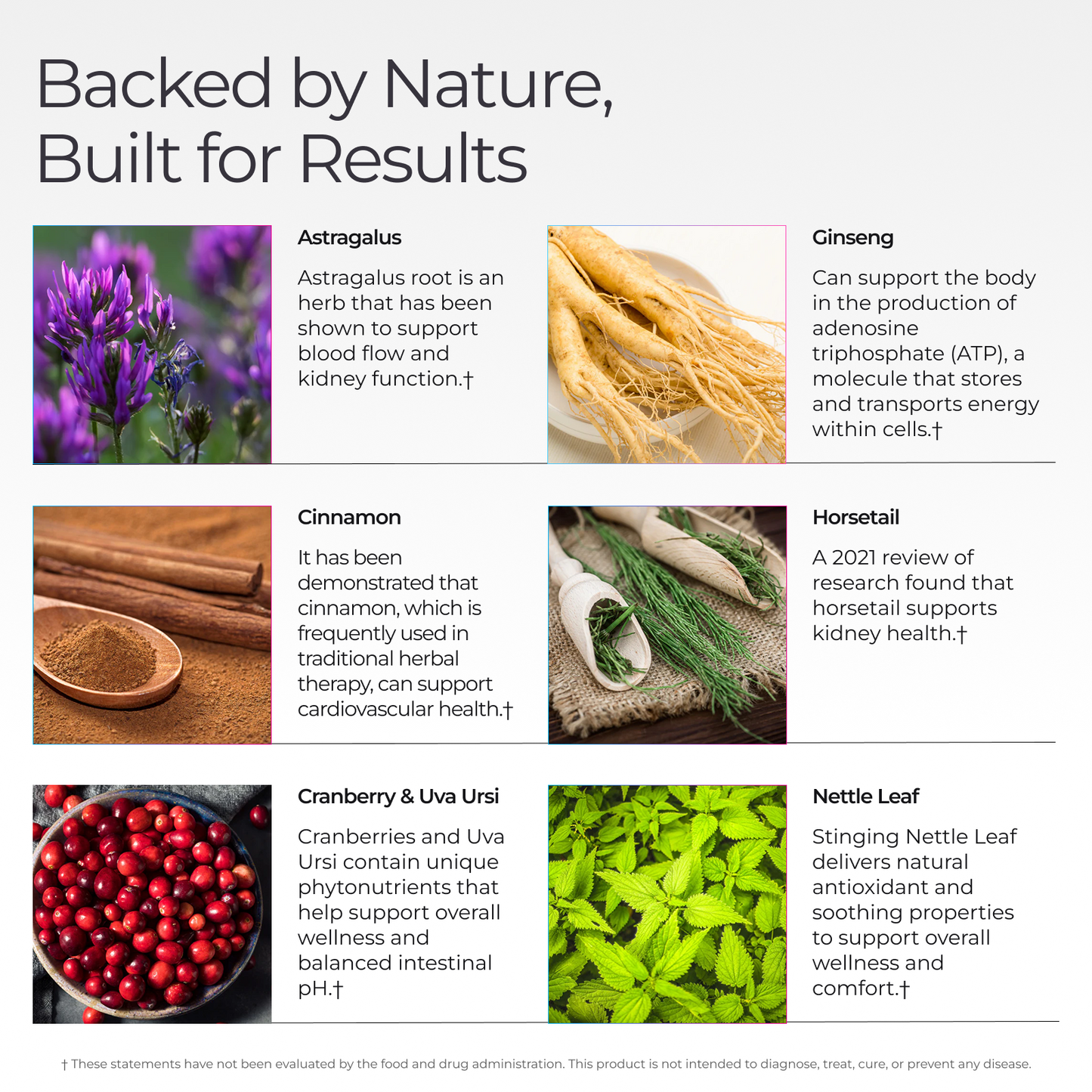 Livingood Daily Kidney + UT Cleanse or Support